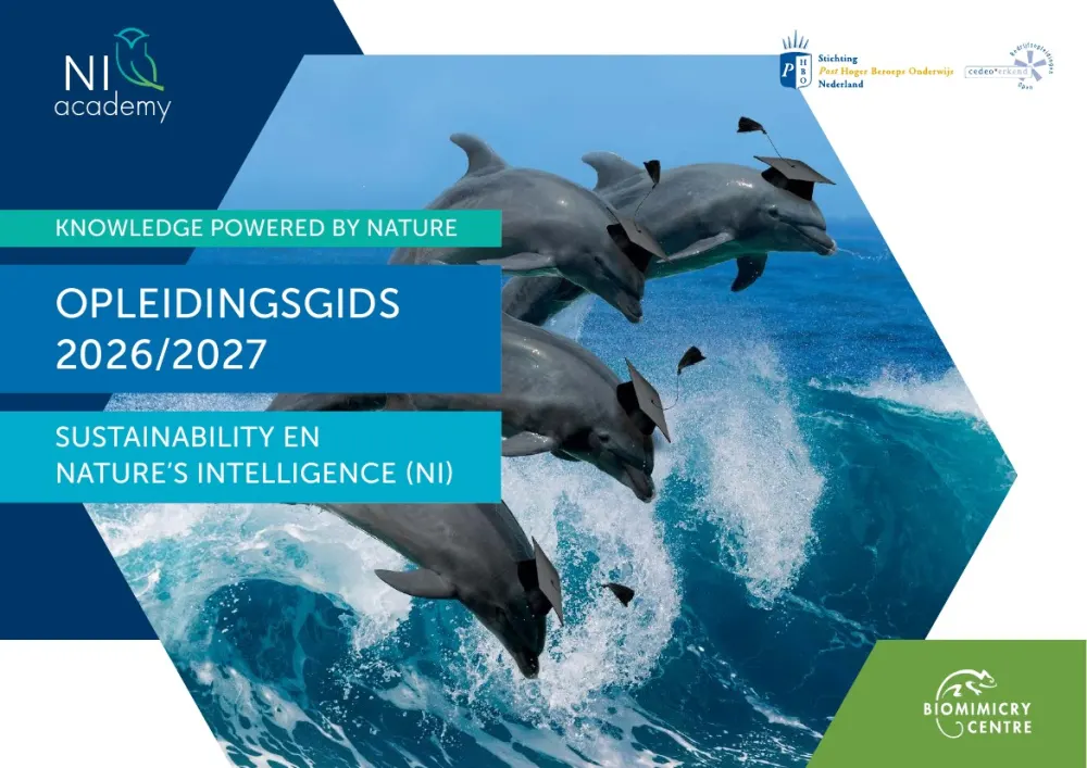 Course guide 2026/2027 - 1