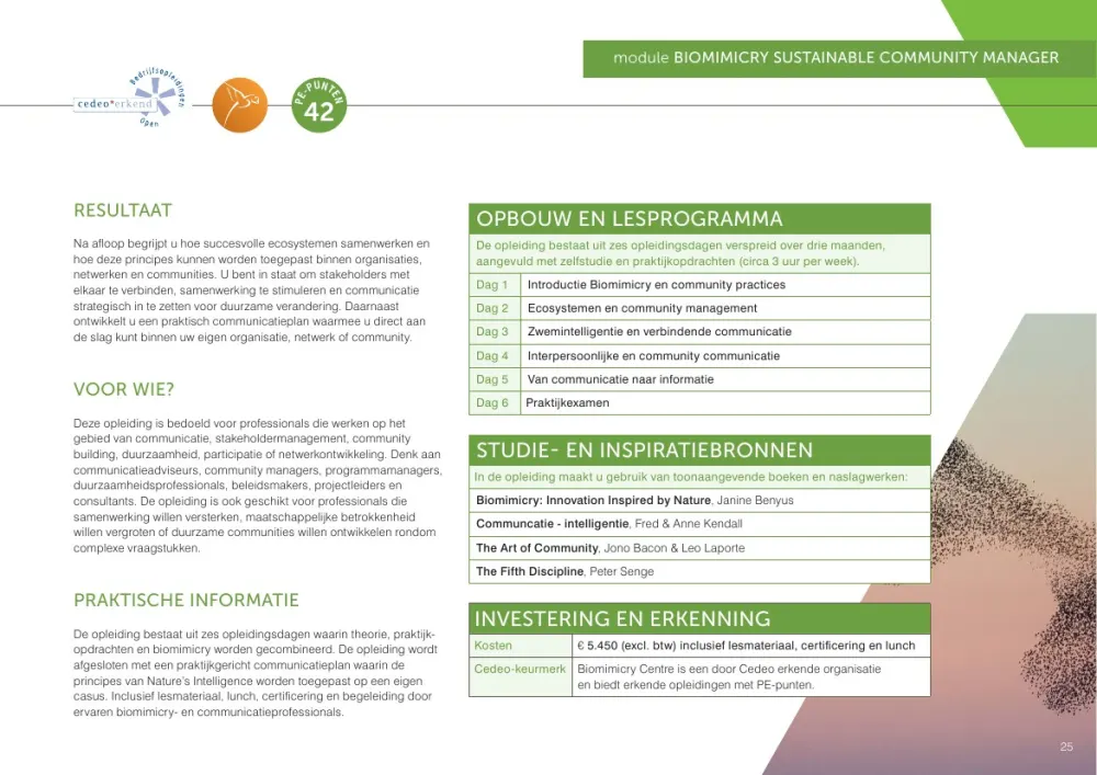 Course guide 2026/2027 - 25
