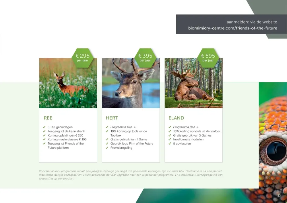 Course guide 2026/2027 - 33