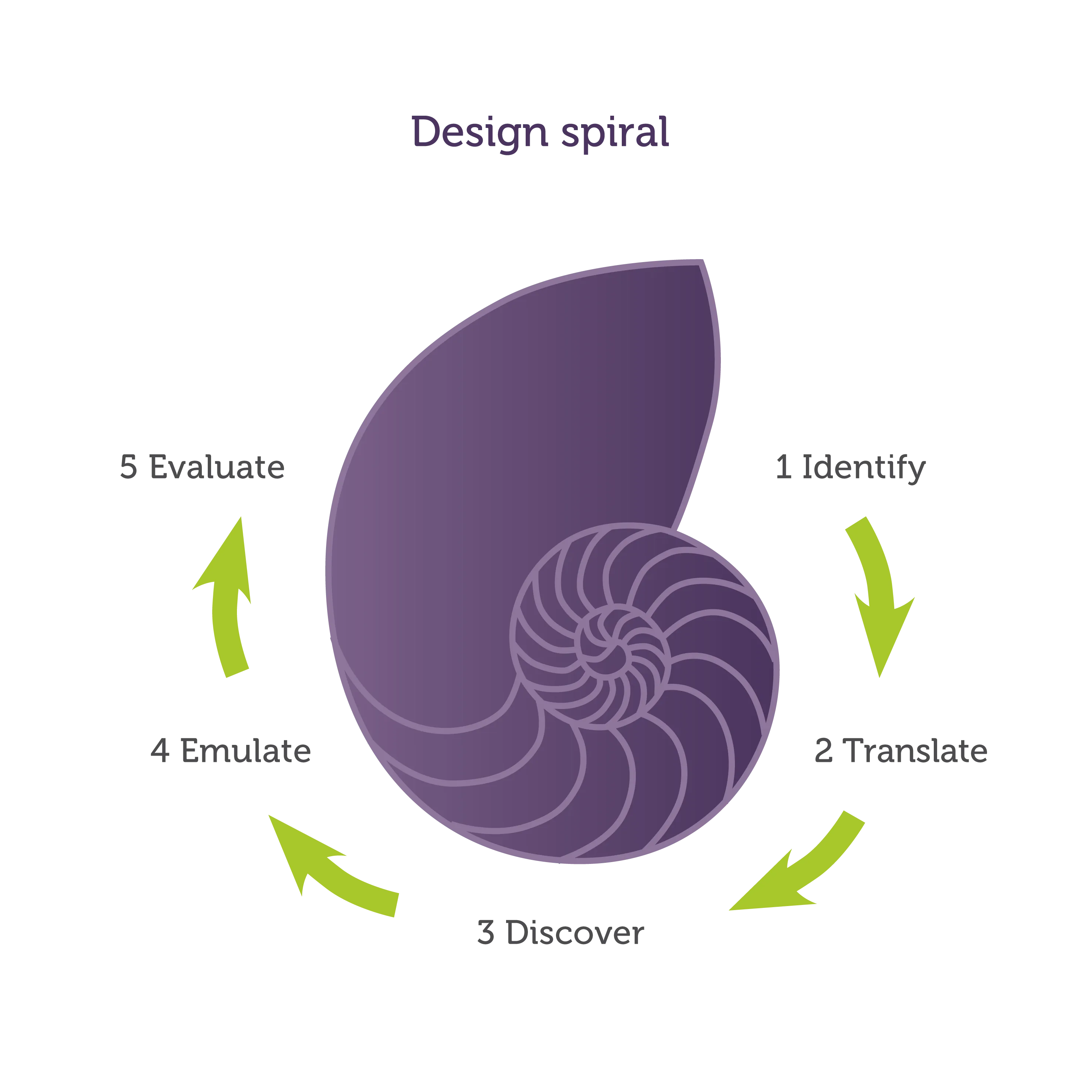 Firm of the Future Design spiral