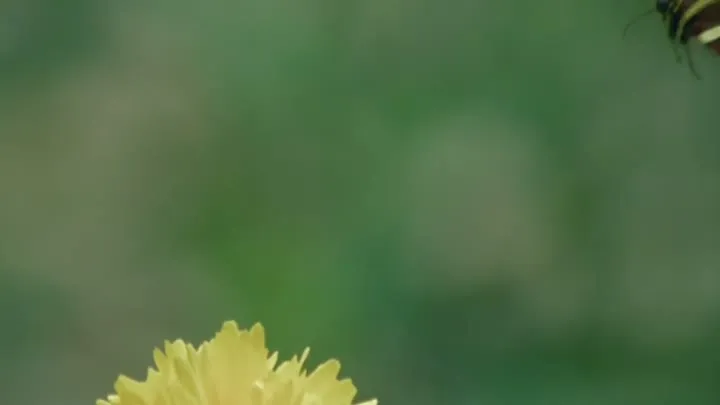 How would Nature's Intelligence solve this?