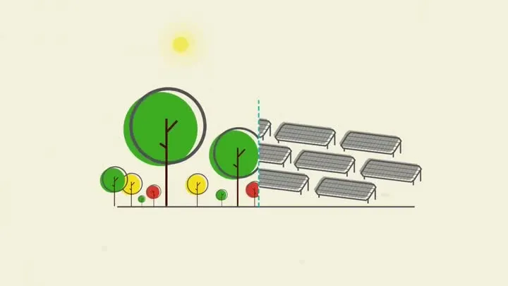 How would Nature's Intelligence solve this?