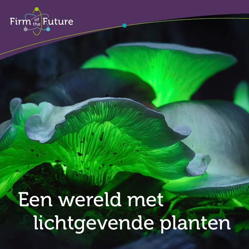 Bioluminescentie