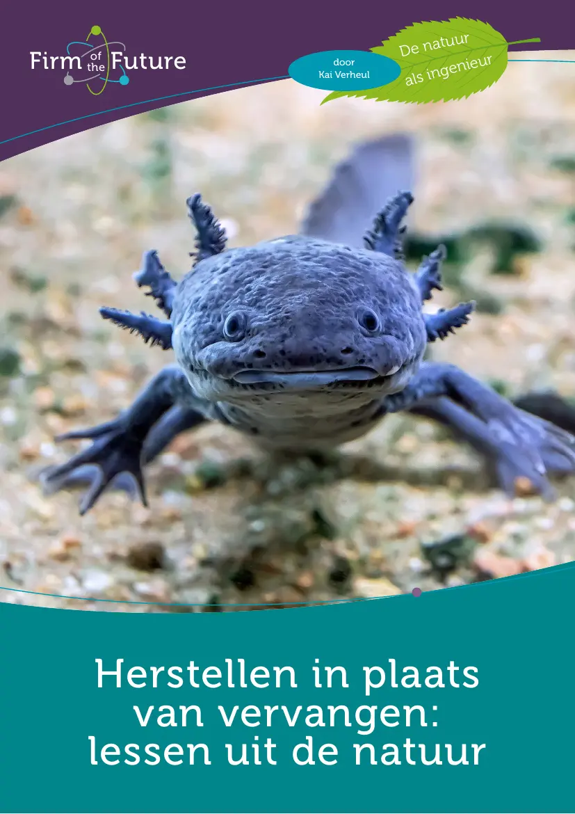Herstellen in plaats van vervangen