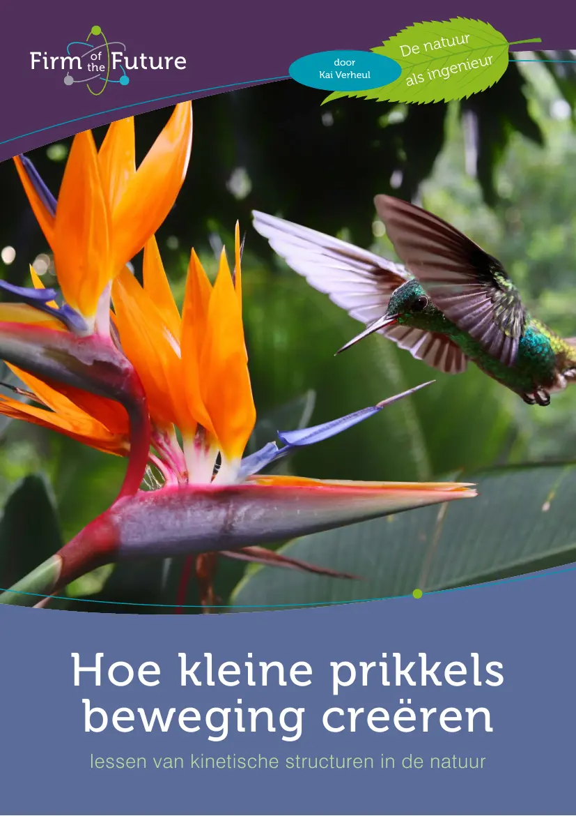 Hoe kleine prikkels beweging creëren