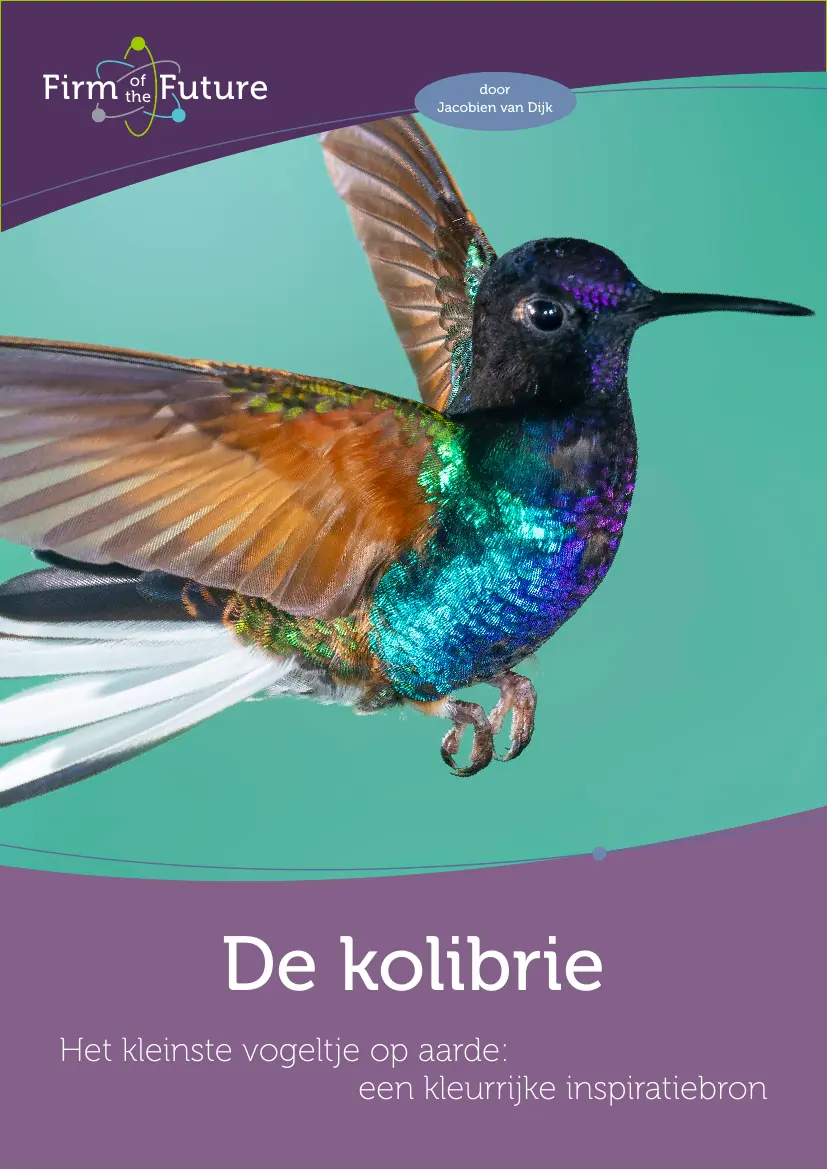 Wat we leren van de kolibrie
