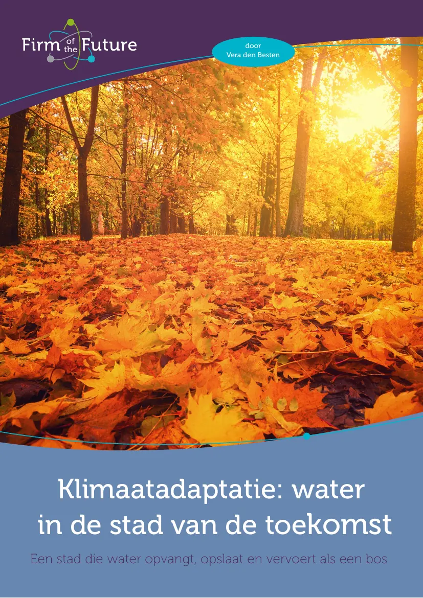 Watersystemen in de stad