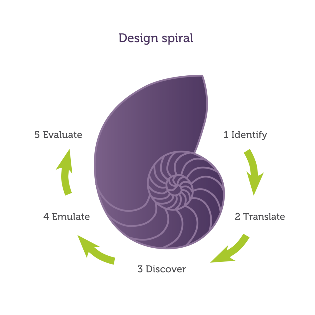 FotF Design spiral